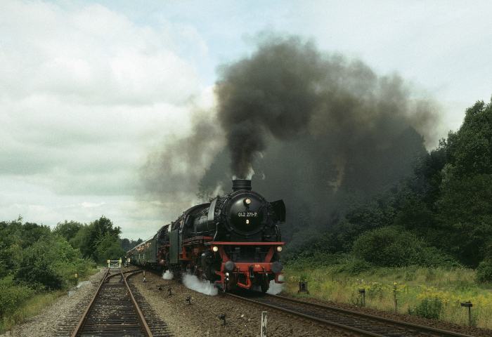 042 271 + 01 1100 mit Sonderzug bei Kronsburg, 07.08.1993
