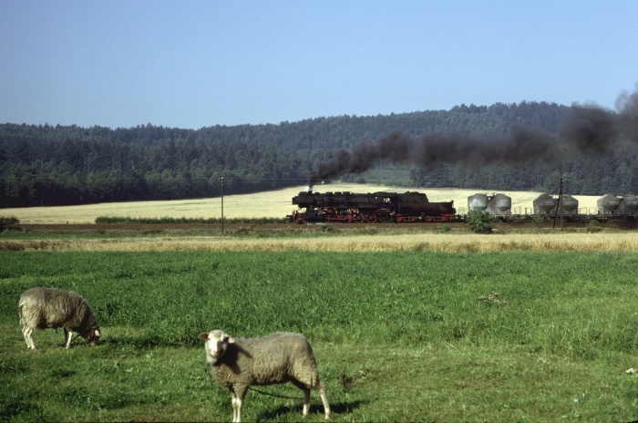 52 8124 mit Nahgüterzug bei Gelenau, 28.08.1980