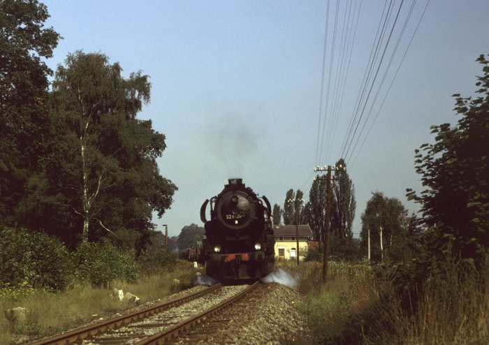 52 8124 mit Gz ->Arnsdorf hinter Pulsnitz, 30.08.1981