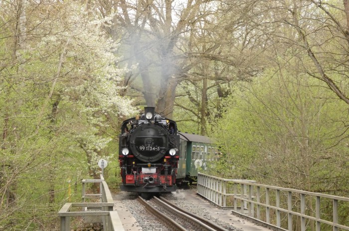 99&nbsp;1734 am nächsten Tag noch mal wieder mit dem P&nbsp;5002, dieses mal an der Einfahrt vor Seifersdorf am Viadukt fotografiert, um 13:55h am 23.04.2025