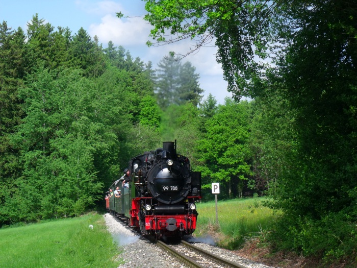 99 788 mit langem und vollem Zug von Ochsenhausen nach Warthausen, fotografiert (und selbstverständlich akustisch gleichzeitig aufgenommen) in der Steigung hinter Reinstetten (bei km 16,4), um 16:36h am 25.05.2017