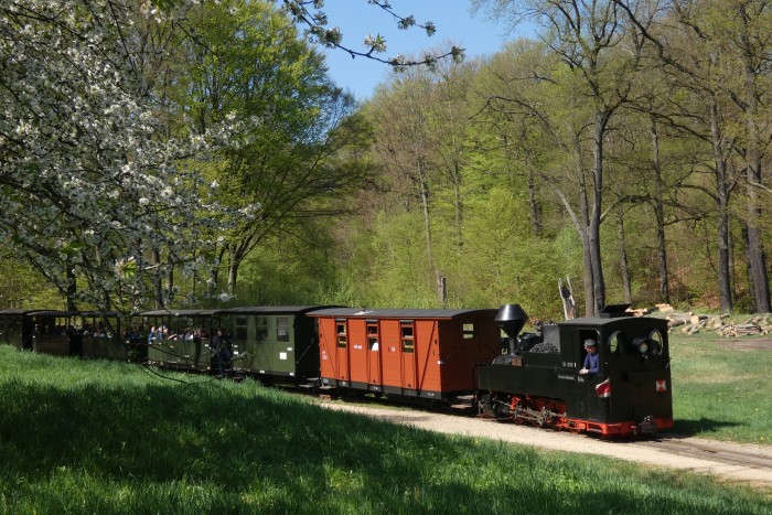 99&nbsp;3315&nbsp;Tv abwärts mit Zug Weißwasser&rarr;Bad Muskau in der Kurve an der Obstbaumwiese vor Muskau, um 11:47h am 20.04.2025