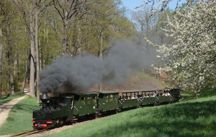 99&nbsp;3315&nbsp; mit Zug Muskau&rarr;Weißwasser in der Kurve an der Obstbaumwiese hinter Bad Muskau, um 15:19h am 20.04.2025