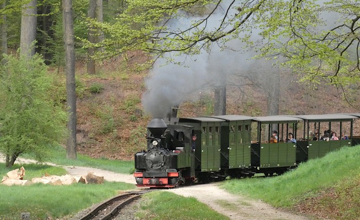 99&nbsp;3315&nbsp; mit letztem Zug am Ostersonntag nach Weißwasser in der Kurve an der Obstbaumwiese hinter Bad Muskau, 18:14h am 20.04.2025