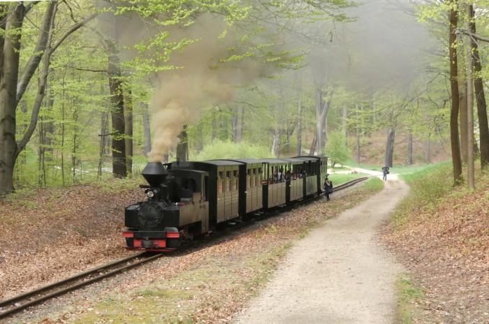 99&nbsp;3315&nbsp; mit letztem Zug am Ostersonntag nach Weißwasser, Spezielhalt am Waldrand hinter Bad Muskau, 18:15h am 20.04.2025