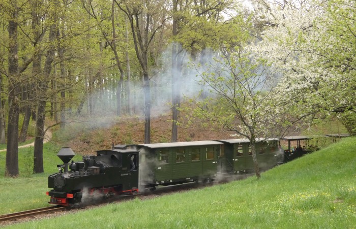 99&nbsp;3317 mit erstem Zug des Tages Richtung Weißwasser in der Steigung Kurve am Waldrand und - wie schon von vielen Aufnahmen zuvor bekannte - Obstbaumwiese, um 10:45h am 21.04.2025