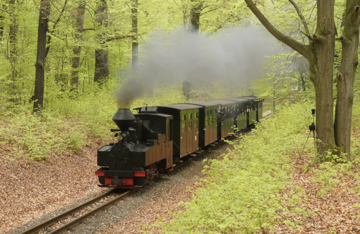 99&nbsp;3315 mit Zug Bad Muskau&rarr;Weißwasser im Wald kurz vor dem Haltepunkt Feuerturmteich, um 12:12h am 21.04.2025
