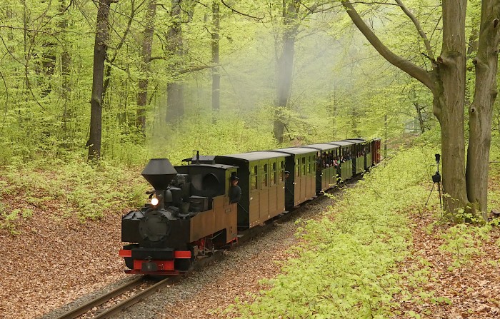 99&nbsp;3317 mit Zug Bad Muskau&rarr;Weißwasser im Wald kurz vor dem Haltepunkt Feuerturmteich, um 13:52h am 21.04.2025