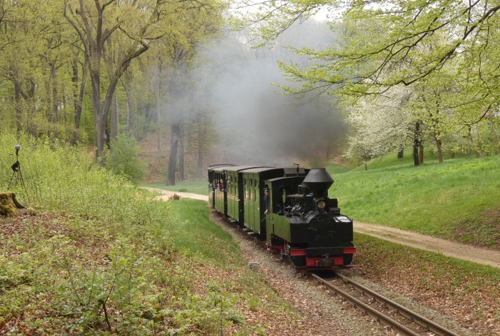 99&nbsp;3315&nbsp; mit Zug Muskau&rarr;Weißwasser, aufgenommen und fotografiert hinter der letzten Kurve am Park-Waldrand in der Steigung hinter Bad Muskau, um 15:20h am Ostermontag, dem 21.04.2025
