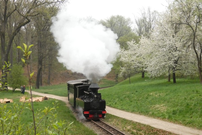 99&nbsp;3317 mit erstem Oster-Regelzug von Bad Muskau nach Weißwasser, aufgenommen und fotografiert hinter den Kurven hinter Ausfahrt Bad Muskau am Waldrand, um 10:52h am 18.04.2025