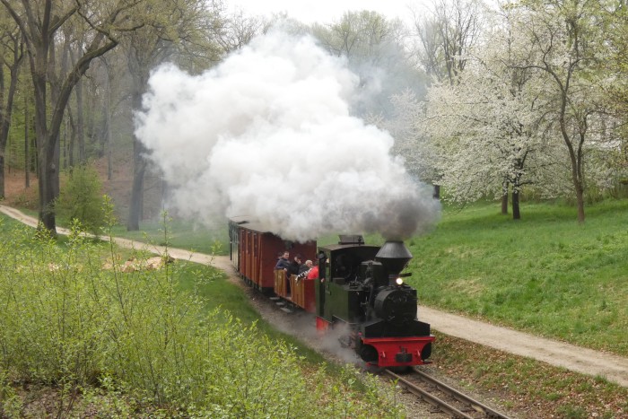 99&nbsp;3312 mit verlängertem Zug Bad Muskau&rarr;Weißwasser (-Kromlau), am gleichen Ort wie zuvor, nämlich am Waldrand hinter Bad Muskau, um 12:09h am 18.04.2025