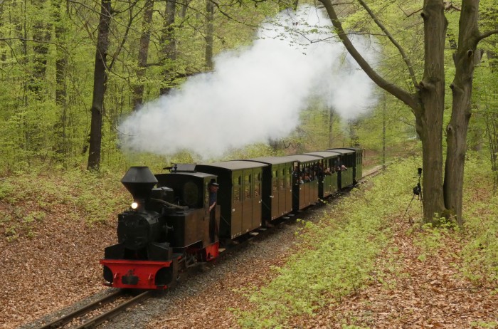 99&nbsp;3312 mit Zug Bad Muskau&rarr;Weißwasser mitten im Wald in der kurzen Steigung vor dem Haltepunkt Feuerturmteich, um 15:23h am 18.04.2025