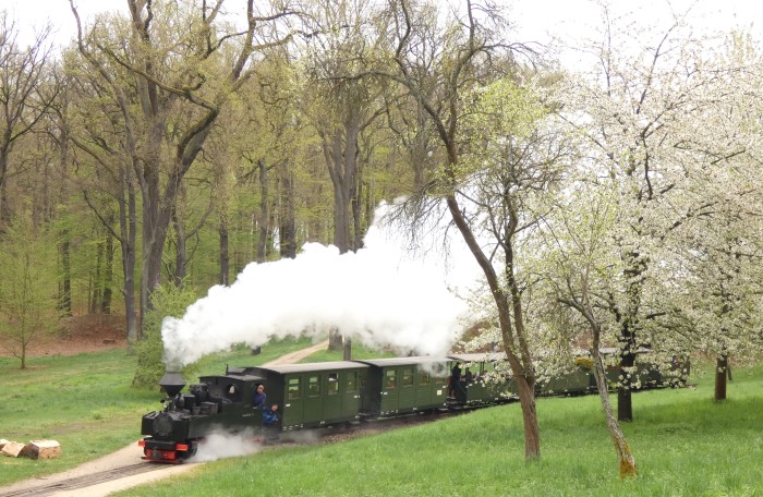 99&nbsp;3317 mit erstem Zug des Tages zurück von Bad Muskau nach Weißwasser, in der Kurve an der Wiese mit blühenden Obstbäumen hinter Bad Muskau, um 10:44h am 19.04.2025