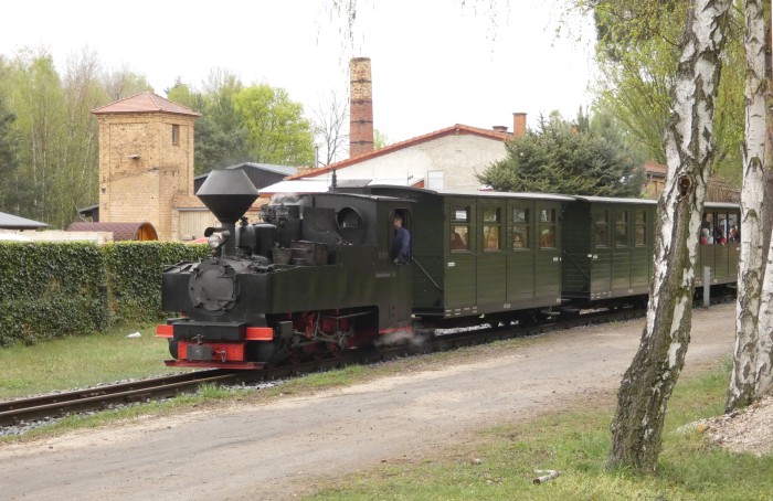 99&nbsp;3317 mit Zug zurück von Bad Muskau nach Weißwasser, in der Steigung am Waldrand hinter Bad Muskau, um 13:57h am 19.04.2025