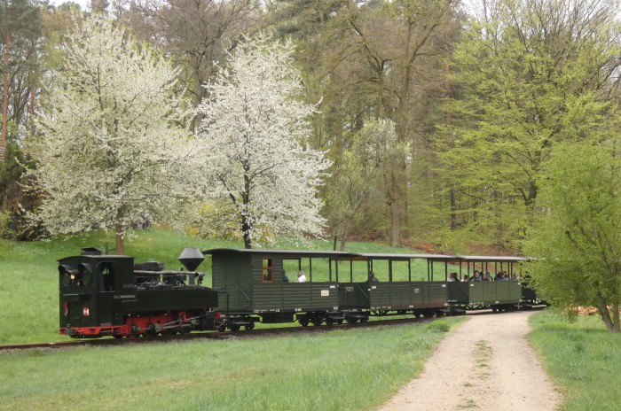 99&nbsp;3317&nbsp;Tv abwärts Richtung Bad Muskau an der Obstbaumwiese am Waldrand südlich Muskau, um 16:39h am 19.04.2025