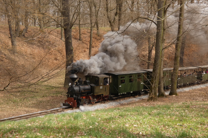 Lok&nbsp;HILAX&nbsp; mit Zug Bad Muskau&rarr;Weißwasser im kurzen Waldabschnitt zwischen den Bäumen vor der Kurve vor der Obstbaumwiese, um 12:15h am 03.04.2026