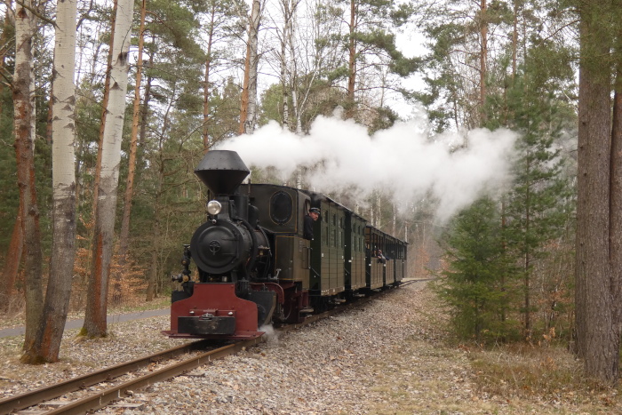 Lok&nbsp;HILAX mit Zug von Kromlau nach Weißwasser zurück, fotografiert im Wald am Kromlauer Weg kurz vor der Kurve am Abzweig (zur Tonbahn), um 13:48h am 03.04.2026