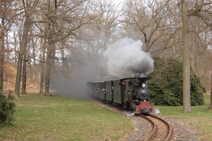 Lok&nbsp;HILAX&nbsp; mit Zug Bad Muskau&rarr;Weißwasser hinter Ausfahrt Bad Muskau im Kurparkgelände nahe Straße, zwischen den Rododendronbüschen, um 15:18h am 04.04.2026