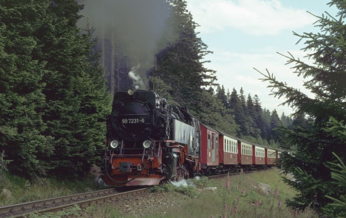 99 7231 mit Zug 8921 zum Brocken, hinter dem Bahnübergang der Brockenstraße, um 15:15h am 22.07.1998