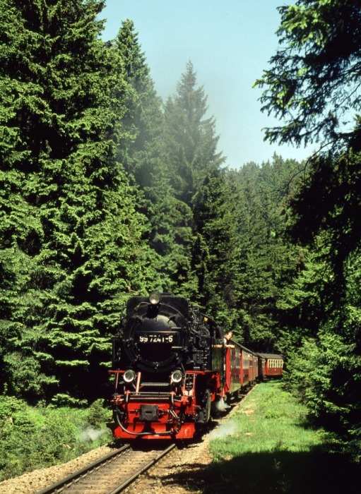 99 7241 mit Zug 8925 am Eckerloch, am 02.06.2000