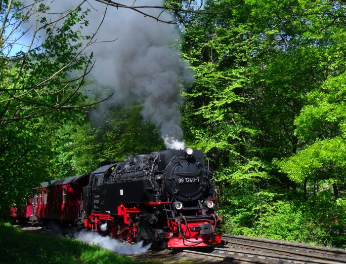 99 7240 mit Zug 8925, Ausfahrt Steinerne Renne, um 10:47h am 16.05.2014