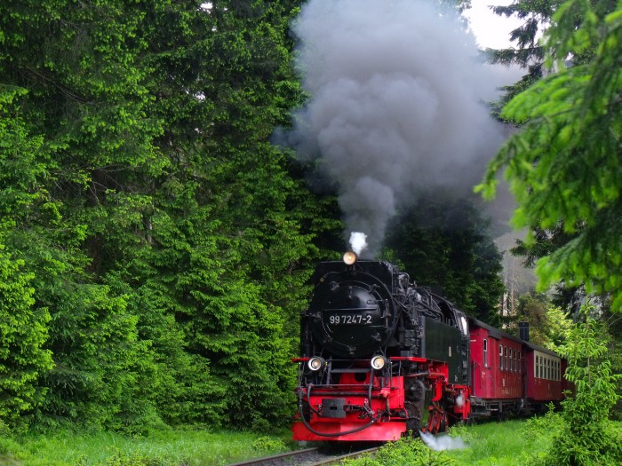 99 7247 mit Zug 8925, wie bei dieser Lok inzwischen üblich knallhart ebenfalls hinter der Eckerloch-Kurve, um 11:58h am 08.06.2016