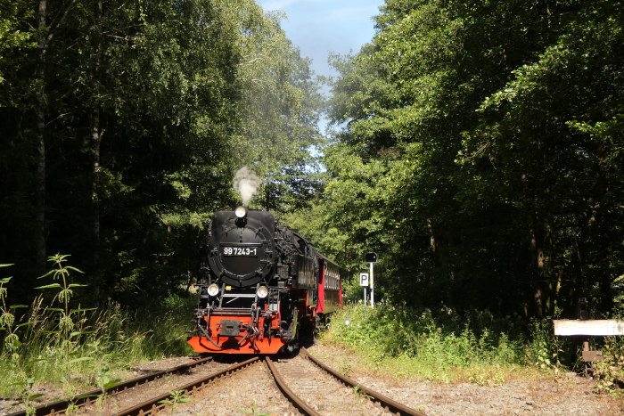 99&nbsp;7243 mit Zug Nr.8967 nach Hasselfelde hinter der Ausfahrt Silberhütte am Abzweig zum ehemaligen Heizwerk, um 16:12h am 09.07.2024