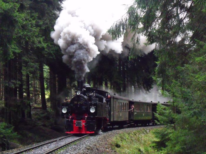 99 5901 mit Zug 8991 zum Brocken hinter Ausfahrt Schierke, um 12:40h am 21.09.2013