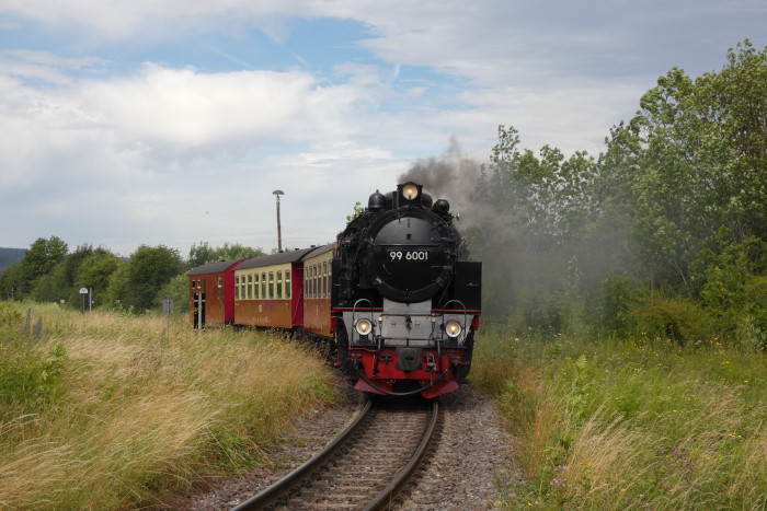 99&nbsp;6001 kommt hier mit Zug 8963 auf der HSB-Neubaustrecke aus Quedlinburg in Gernrode eingefahren, um 10:46h am 06.07.2024