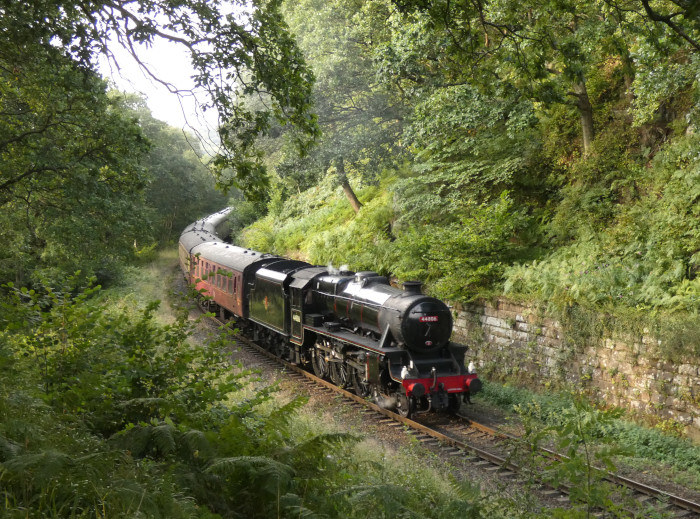 44806 mit Zug von Whitby nach Pickering, bei Beck Hole im Einschnitt vor der Straßenbrücke, um 17:54h am 28.08.2024
