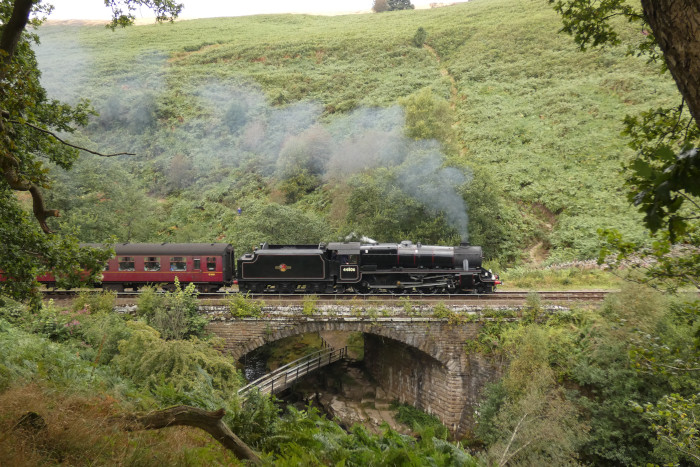 44806 mit Zug aus Whitby (Whitby-Grosmont aber mit Diesel-Lok) Richtung Pickering bei Thomason Foss / Water Ark, um 13.39h am 29.08.2024
