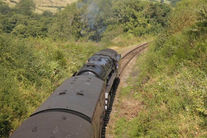 ... es schiebt am Zugende 92134, und zwar kräftig und viel lauter als die Zuglok, Foto um 12:39h am 30.08.2024