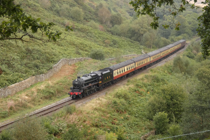 5428 mit dem letzten Zug von Pickering nach Grosmont an diesem Tag, abwärts fahrend bei Water Ark, um 17:08h am 31.08.2024